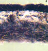 POLYARAMID TREATED NEEDLEFELT WITH FIRETES 